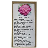 6 Degrees East Heirloom Veg Seeds - Broccoli - Purple Sprouting